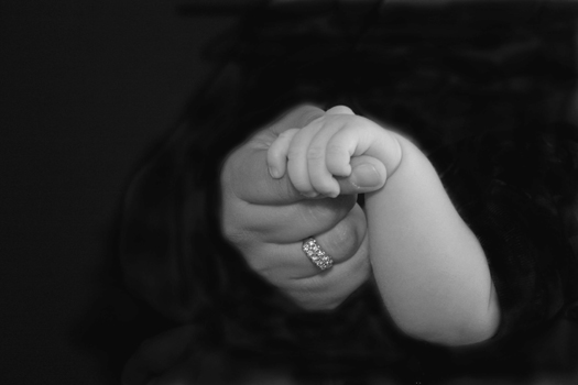 professional family pictures