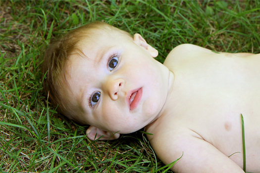 professional maternity pictures